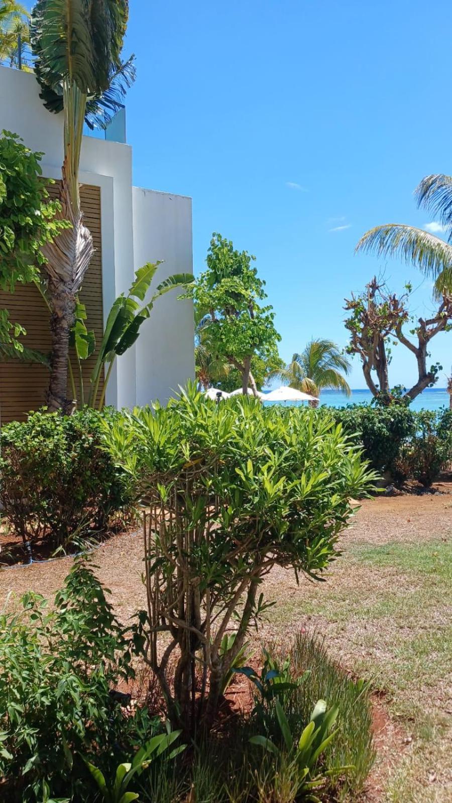 Cap Ouest Luxury Beachfront Flic en Flac Luaran gambar